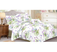 Постельное белье двуспальное Art Color 071-AC