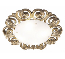 Накладной светильник Maytoni Lantana H300-04-G