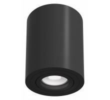 Накладной светильник Maytoni Alfa C016CL-01B