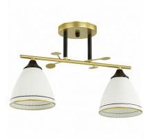 Накладной светильник Lumion Becky 4544/2C