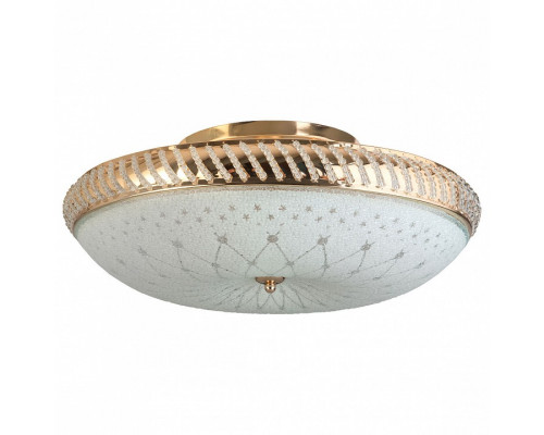 Светильник на штанге TopLight Loreen TL1492Y-05GC