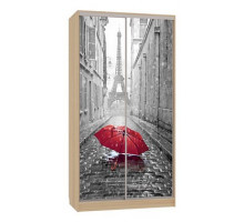 Шкаф-купе Рио 7-600 08