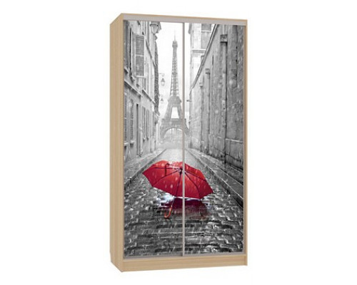 Шкаф-купе Рио 7-600 08