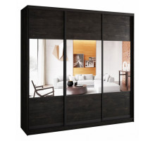 Шкаф-купе А0471494696 2400x580