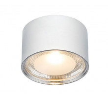 Накладной светильник Globo Serena 12007C