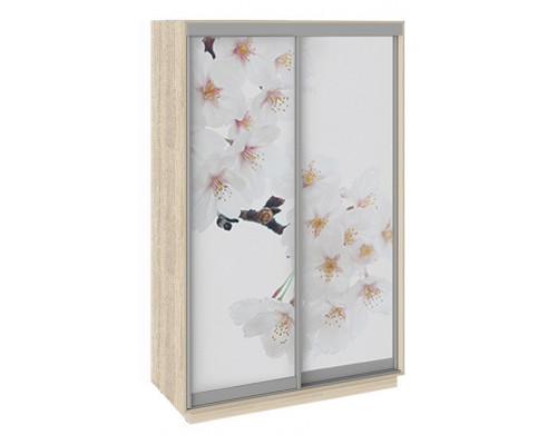 Шкаф-купе Румер СШК 1.140.70-25