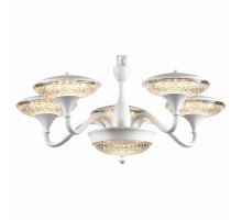 Подвесная люстра Arte Lamp 5168 A5168LM-5WH