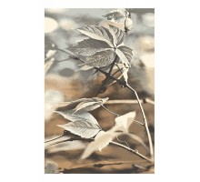 Ковер интерьерный (133x190 см) Natural