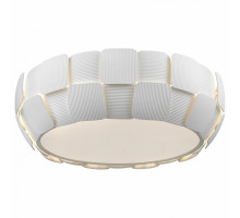 Накладной светильник Divinare Beata 1317/01 PL-4