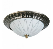 Накладной светильник TopLight Paulina TL5050Y-02AB