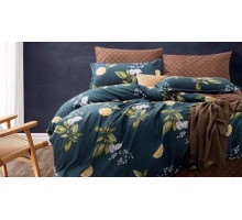 Постельное белье семейное Вальтери MP