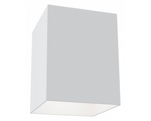 Накладной светильник Maytoni Alfa C015CL-01W