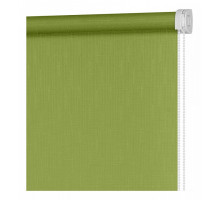 Штора рулонная (160x175 см) Апилера