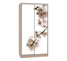 Шкаф-купе Рио 7-600 яблоня