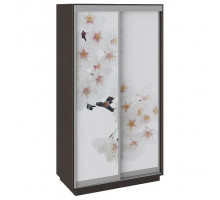 Шкаф-купе Румер