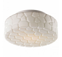 Накладной светильник Arte Lamp Aqua A5325PL-2WH