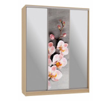 Шкаф-купе Бассо 9-600 78