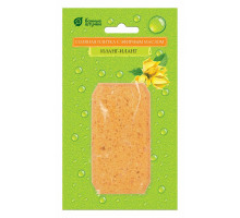 Соляной камень (10x19x3 см) 32405