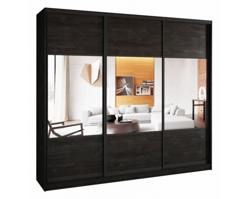 Шкаф-купе А0471494716 2700x580