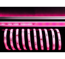 Лента светодиодная [5 м] Deko-Light  532551