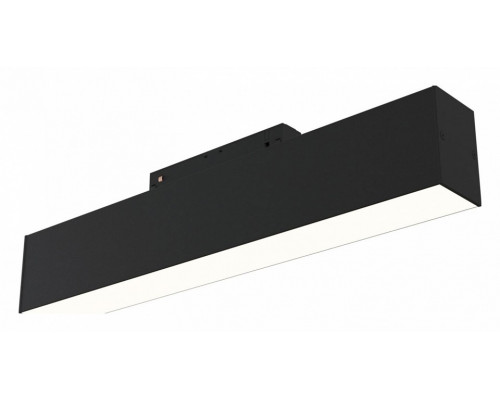 Накладной светильник Maytoni Track lamps TR012-2-12W4K-B