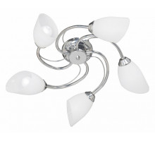 Потолочная люстра Vitaluce V3184 V3236/5PL