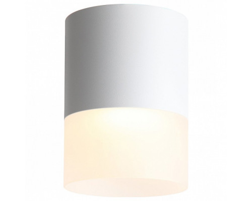 Накладной светильник ST-Luce Ottu