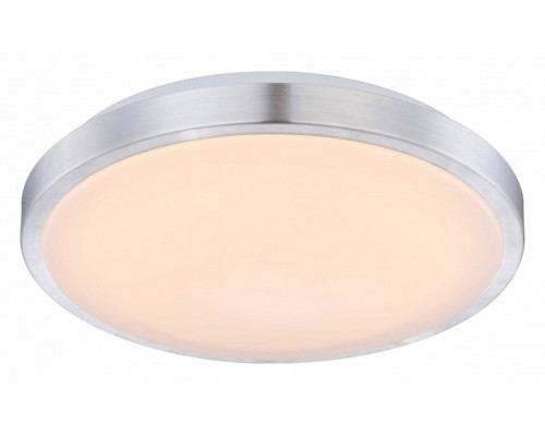 Накладной светильник Globo Robyn 41686