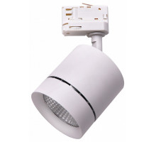 Светильник на штанге Lightstar Canno 301564