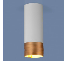 Накладной светильник Elektrostandard DLN102 a047748