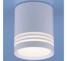 Накладной светильник Elektrostandard DLR032 a041262