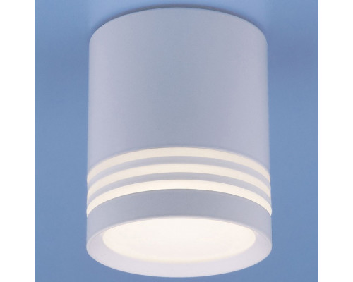 Накладной светильник Elektrostandard DLR032 a041262