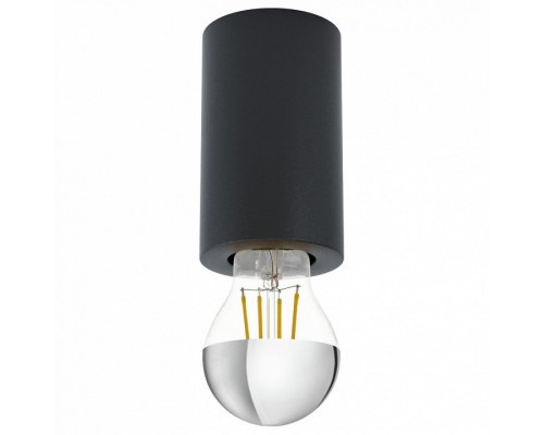 Накладной светильник Eglo ПРОМО Saluzzo 99065