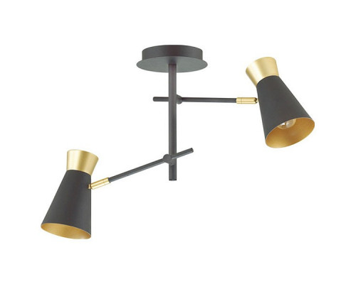 Светильник на штанге Lumion Liam 3790/2C