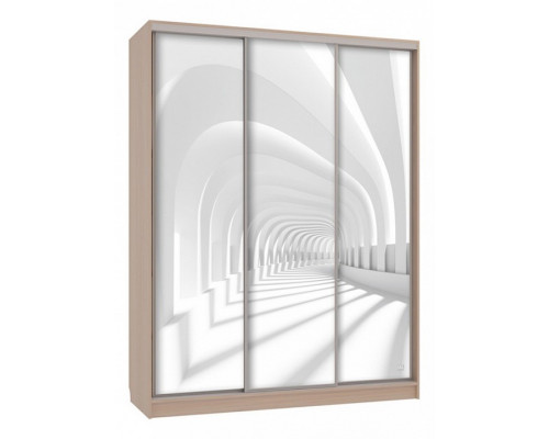 Шкаф-купе Бассо 7-600 58