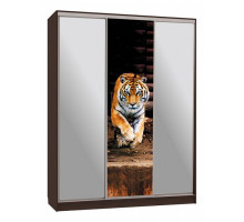 Шкаф-купе Бассо 9-600 87