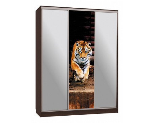 Шкаф-купе Бассо 9-600 87