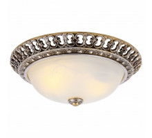 Накладной светильник Arte Lamp Torta A7132PL-2SA