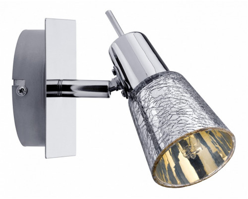 Спот Paulmann Omikron 60314