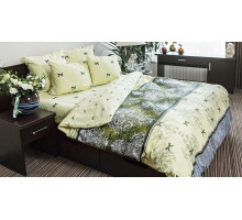 Постельное белье евростандарт Десанж