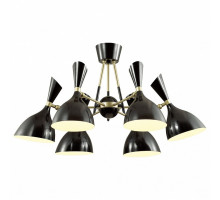 Потолочная люстра Odeon Light Rasto 4665/6C