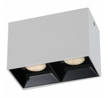 Накладной светильник Favourite Oppositum 2405-2U