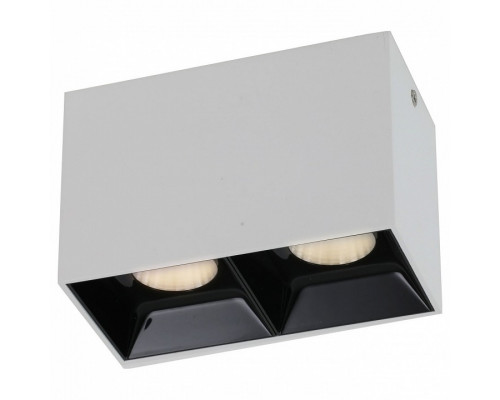 Накладной светильник Favourite Oppositum 2405-2U