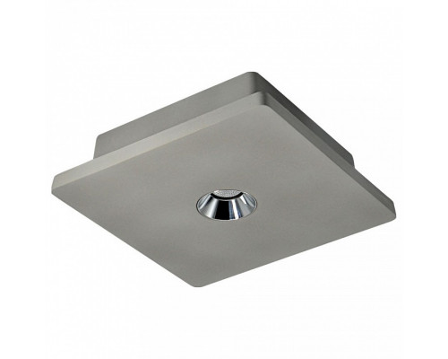 Накладной светильник Loft it Architect OL1072-GH/1