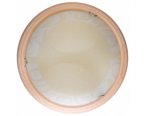 Накладной светильник TopLight Ginger TL9620Y-00PN