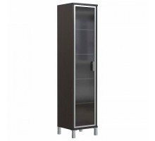 Шкаф-витрина Skyland Born B 431.8