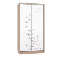 Шкаф-купе Рио 7-600 18