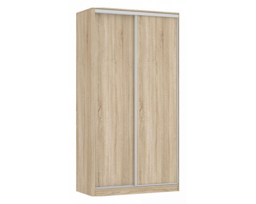 Шкаф-купе Рио 5-600
