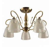 Потолочная люстра Hiper Trum H198-5