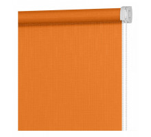 Штора рулонная (160x175 см) Апилера